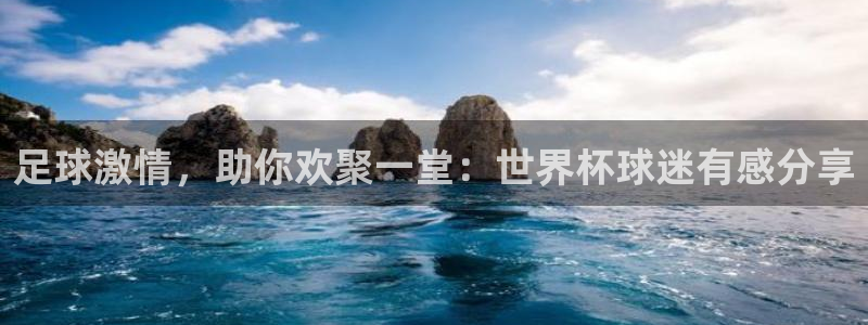 世界杯对阵图2026：足球激情，助你欢聚一堂：世界杯球迷有感分享