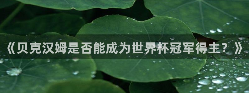 足球世界杯预选赛：《贝克汉姆是否能成为世界杯冠军得主？》