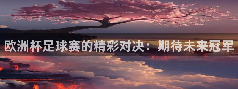 2026世界杯官网：欧洲杯足球赛的精彩对决：期待未来冠军