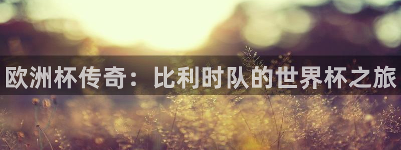 2026年世界杯时间表：欧洲杯传奇：比利时队的世界杯之旅