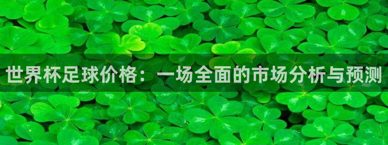 世界杯2026赛程表:世界杯足球价格:一场全面的市场分析与预测