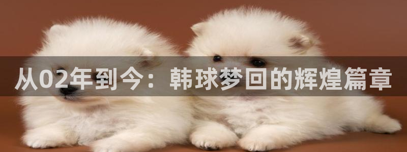 世界杯赛程时间表：从02年到今：韩球梦回的辉煌篇章