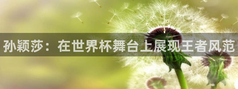 2006年世界杯冠军：孙颖莎：在世界杯舞台上展现王者风范