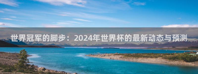 法国杯2026赛程表：世界冠军的脚步：2024年世界杯的最新动态与预测