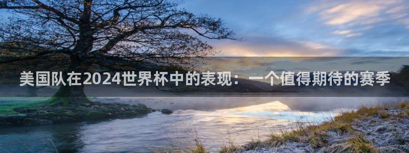 世界直播：美国队在2024世界杯中的表现：一个值得期待的赛季