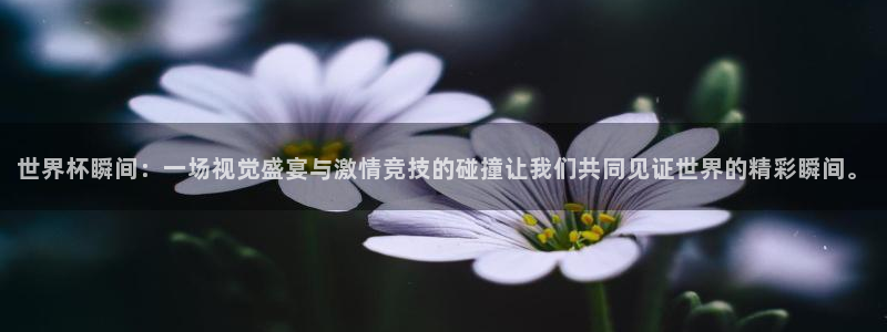 2026年世界杯赛程表时间：世界杯瞬间：一场视觉盛宴与激情竞技的碰撞让我们共同见证世界的精彩瞬间。