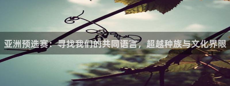 欧洲世界杯预选赛：亚洲预选赛：寻找我们的共同语言，超越种族与文化界限