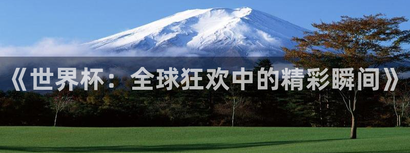 2026年世界杯对阵图：《世界杯：全球狂欢中的精彩瞬间》